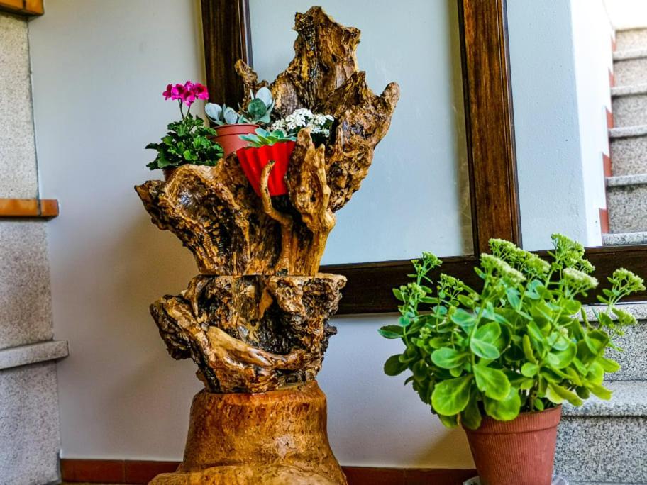 Casa Carolina Guest House Vila Seca  Luaran gambar